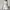 Coquette Minimalist Cami top Wanita white photo 2