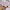 NILE PERCH coquette ribbon cardi crochet vintage loli cospla photo 4