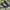 Adidas Superstar Black photo 4