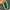 Supreme alpine pompom green beanie hat photo 4