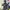 Black unknown shoulderbag photo 6