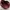 Sophie martin maroon totebag  photo 4