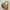 Gold ardyn vtg shoulderbag photo 3