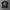 00' harley skull flame photo 1
