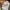 Billionaire boys club BBC europe edition white hat photo 6