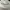 Billionaire boys club BBC europe edition white hat photo 3