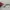 Vintage Eyeglasses Titanium Maji Masatomo Made in Japan photo 8