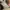 Nb 327 photo 5