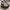 Nb 327 photo 1