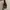 Charles and Keith Minimalist Handbag Wanita brown photo 2