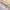 Luxury Vintage Sweater Pria cream photo 6
