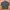 Vintage Y2K Harley Davidson Denim Jacket photo 10