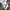 Puma X Fenty Rihana Terrycloth Tracktop Set photo 3