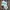 Puma X Fenty Rihana Terrycloth Tracktop Set photo 1