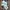 Puma X Fenty Rihana Terrycloth Tracktop Set