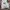 Puma X Fenty Rihana Terrycloth Tracktop Set photo 2