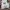 Puma X Fenty Rihana Terrycloth Tracktop Set