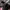 W NIKE AIR MAX SOLO photo 4