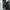 W NIKE AIR MAX SOLO photo 2