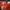 W NIKE AIR MAX SOLO photo 3