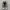 Converse Chuck Taylor All Star 70S High Black White photo 4