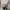 Converse Chuck Taylor All Star 70S High Black White photo 7