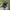 Vans Wayvee Skateboarding  photo 1
