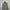 Signore Trucker Jacket Beige photo 1