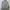 Signore Trucker Jacket Beige photo 3