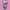 Casual Minimalist Wanita pink black photo 2