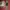 smartwatch redmi 5 active photo 1