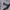 Polo Ralph Lauren Casual Formal shirt Pria white black photo 4