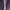 Nerdy Streetwear Sportswear Tracksuit Pria purple white photo 1