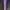Nerdy Streetwear Sportswear Tracksuit Pria Purple White