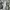 Vintage Grunge Bodycon dress Wanita black photo 3