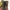 Converse Casual Wanita multicolor photo 5