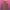 Casual Muslim Casual dress Wanita pink photo 3