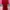 Luxury Muslim Going out dress Wanita burgundy Jacquard photo 3