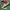 Diadora game low  photo 1