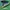 Adidas Munchen black photo 1