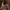 Converse Vintage Streetwear Sneakers Pria multicolor photo 4
