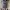 Koper louis vuitton damier ebene 2002 pegasus suitcase ori  photo 10
