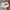 𝐓𝐫𝐚𝐜𝐤 𝐓𝐨𝐩 𝐕𝐢𝐧𝐭𝐚𝐠𝐞 𝐊𝐚𝐩𝐩𝐚 (𝐁𝐨𝐱𝐲)
