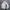 Puffer Jacket Reebok