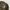 AVIREX CAMO DROP ZONE MILITARY CAMP LONG SLEEVE | KAOS LENGA photo 3