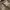 AVIREX CAMO DROP ZONE MILITARY CAMP LONG SLEEVE | KAOS LENGA photo 5