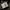 AVIREX CAMO DROP ZONE MILITARY CAMP LONG SLEEVE | KAOS LENGA photo 7