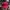 Honda Mobil Automotive Hat photo 1