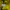 HOODIE NIKE YELLOW photo 4