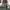 Cargo Army  photo 1